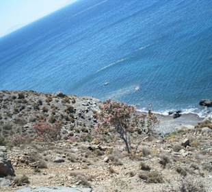 Blick von der Bushaltestelle