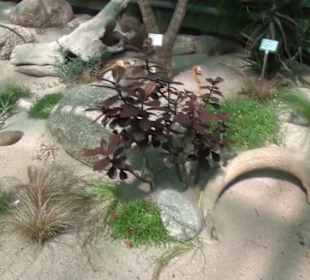 Afrikanische Landschaften