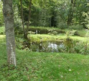 Wanderung zu wilden Bächen und hohen Wasserfällen