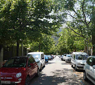 Altstadt Valldemosa