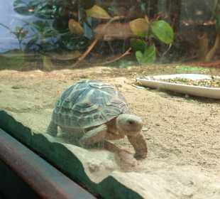 Allwetterzoo Münster