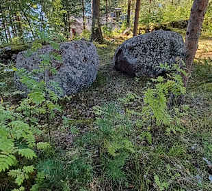 Wandern Punkaharju