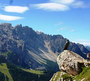 Blick vom Rosengarten zum Latemar