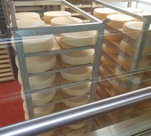 Schaukäserei Drei Zinnen