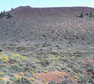 Teide Nationalpark