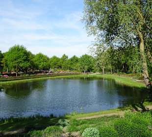 Hauptblüte im Rhododendronpark Bremen