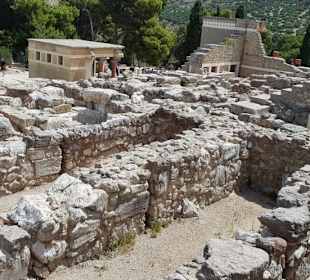 Minos Palas