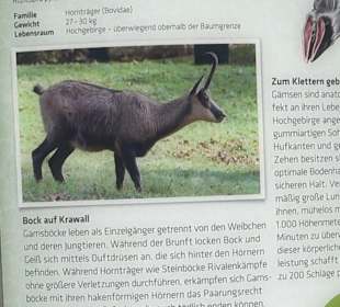 Tierpark Hellabrunn