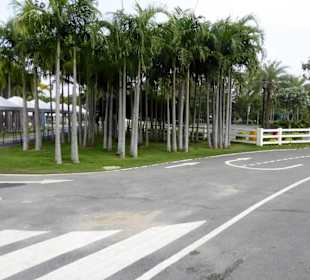 Schön ausgebaute und gekennzeichnete Radwege