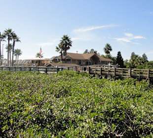 Manatee Viewing Center