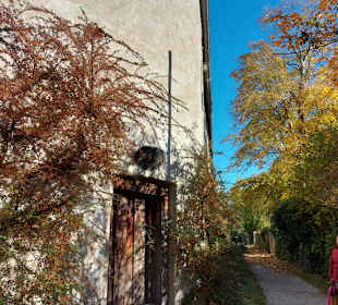 Hexentirm in der Stadmtauer