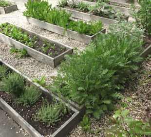 Benediktinerkloster Lorch