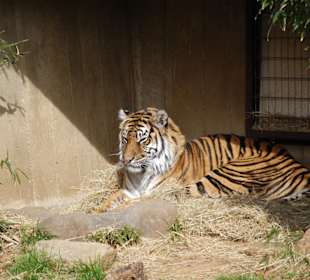 Washington Zoo