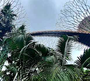 Gardens by the Bay