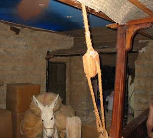 Das Museum von Dubai