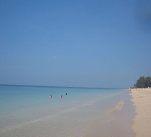 Perfekter und sauberer geht es nicht!