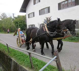 Pferd mit Mähgerät