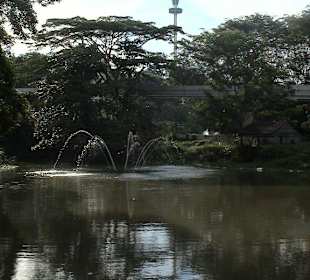 Seeblick und Sky Tower