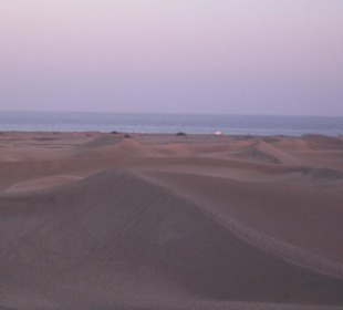 Dünenlandschaft von der Promenade aus gesehen