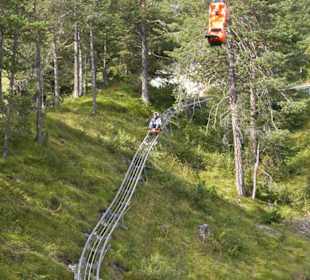 Alpenroller( Coaster )