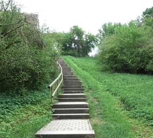 Naturinfopfad Weggental