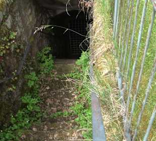 Burgruine Sterneck