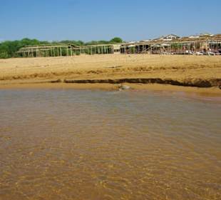 Seichtes Wasser Lagune