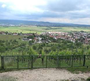 Wanderweg - Alter Steinbruch Pfaffenberg Runde