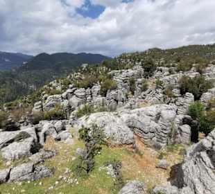 Ausflug "Selge" Mai 2019