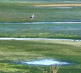 Parque Natural da Ria Formosa