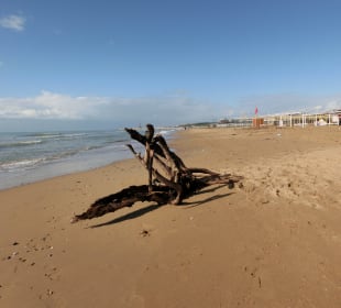 ...angspülte Wurzel