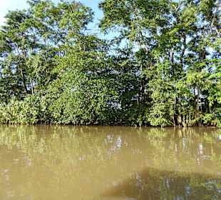 Tortuguero Kanäle