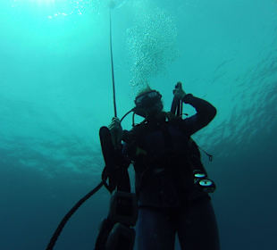 Padi Courses
