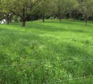 Hochgehnießen - Premiumspazierwanderweg