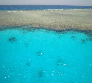 Herrliche Tauchplätze