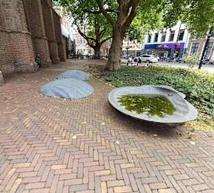 Grote Kerk / Grote of Sint-Jacobskerk in Den Haag
