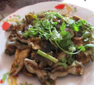 Delicious dish of Black Lady Mountain Lizards