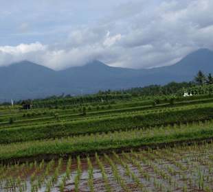 Impressionen aus Bali