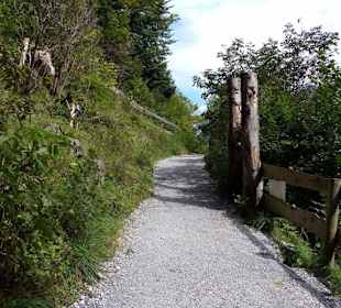 Wanderweg nach oben