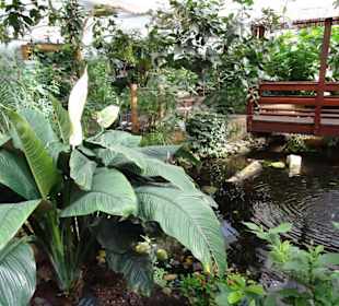 Rundgang durch den Jardin des Papillons