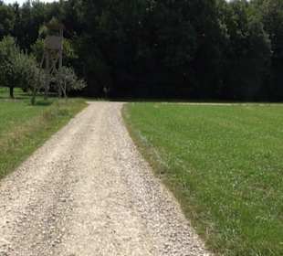 Hochgehnießen - Premiumspazierwanderweg