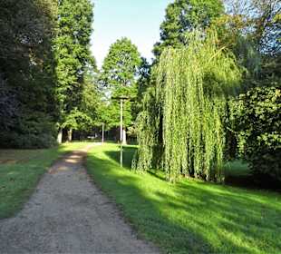 Spaziergang durch den Stadtpark Lübeck