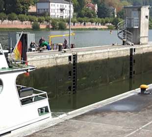 Weisse Flotte Heidelberg 