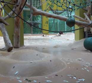 Tierpark Hellabrunn - Welt der Affen