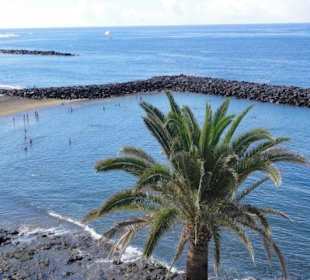 Playa del Bobo 11/2016