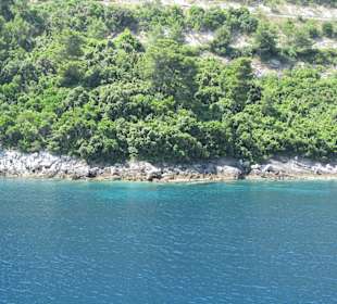Mljet