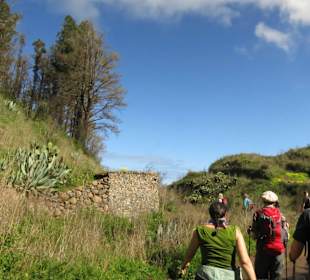 Wandern mit der Wanderjule in Teno Alto