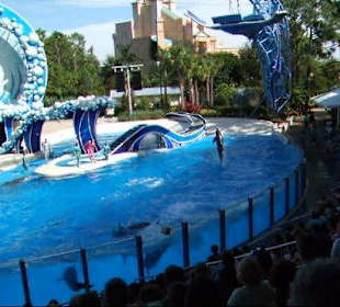 Sea World