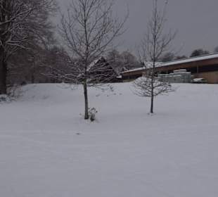 Gestüstshof Sankt Johann