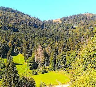 Wandern Todtnauberg